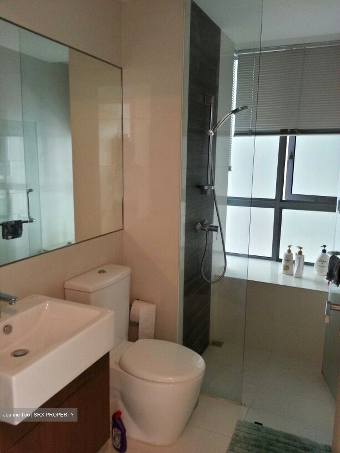 Dakota Residences (D14), Condominium #538163391